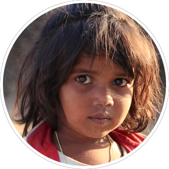 Donate Now